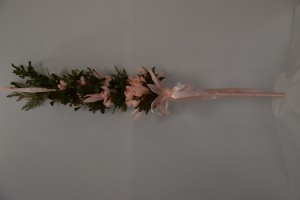 DSC_0668